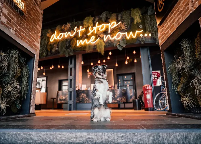 Me And All Hotel Hanover, By Hyatt